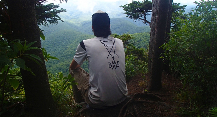 A person sits between two trees, looking out over a vast, green mountainous landscape.